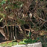 Casa Da Mestra De Areas *
