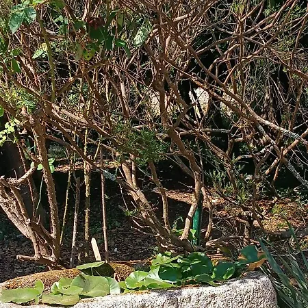 Casa Da Mestra De Areas *