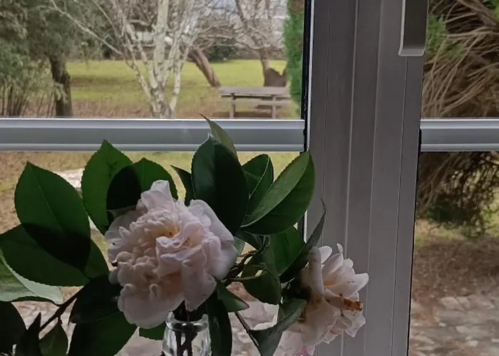 Casa Da Mestra De Areas Prázdninový dům