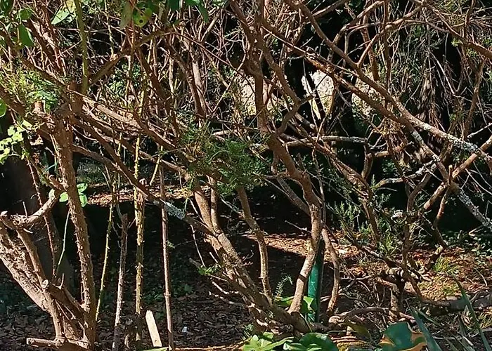 Casa Da Mestra De Areas *